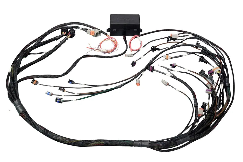Haltech Elite 2500 GM GEN IV LSx (LS2/LS3 etc) DBW Ready Terminated Harness Injector Connector: Bosch EV6 (as per factory)