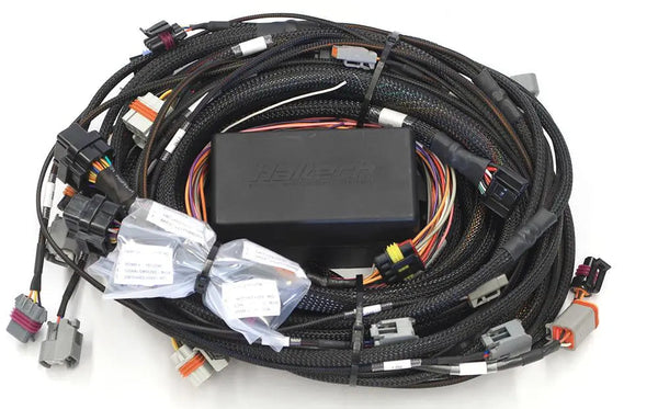 Haltech Elite 2000/2500 GM GEN IV LSx (LS2/LS3 etc) non DBW Terminated ...