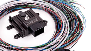 MaxxECU MINI BASIC (ECU, connectors and accessories)